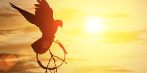 Les pays les plus paisibles en 2017