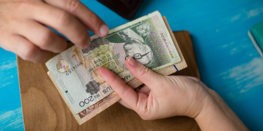 D&eacute;valuation de la roupie : une nouvelle politique mon&eacute;taire pour am&eacute;liorer la situation