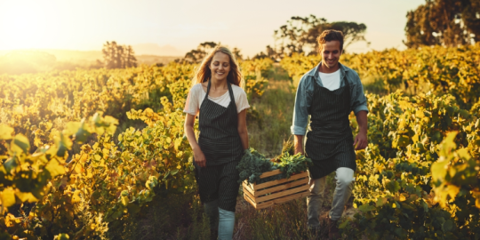 Vacanza-lavoro all'estero senza accordi bilaterali: come muoversi?