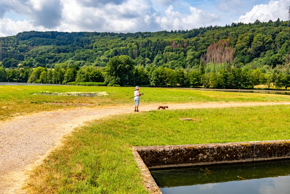 Promener les chiens au Luxembourg