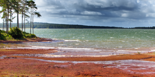 L'actu des derni&egrave;res semaines &agrave; Maurice : La gestion de l'eau occupe les esprits