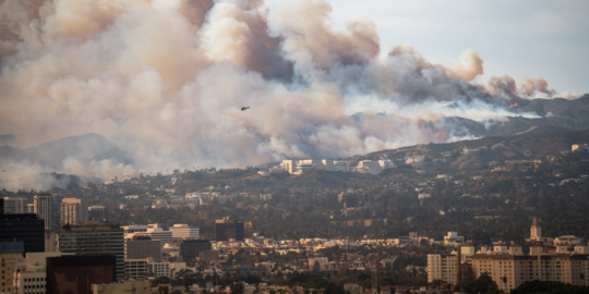 California on fire: How expats are coping with the crisis