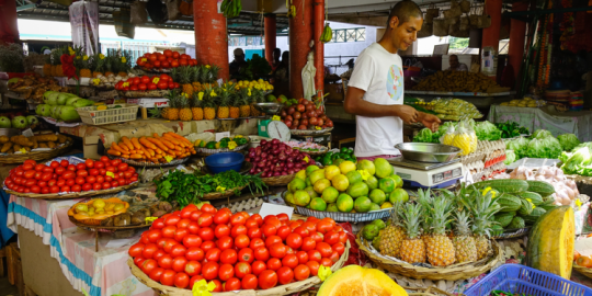 Cyclone Garance aftermath: Vegetable prices skyrocket in Mauritius