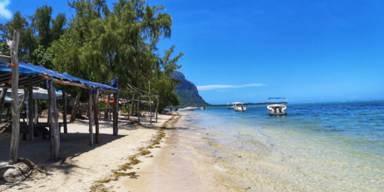 Mauritius weekly highlights: Environmental initiatives, water reserves crisis, and road safety concerns
