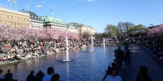 Nicola vive a Stoccolma dal settembre del 2010