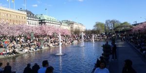 Nicola vive a Stoccolma dal settembre del 2010