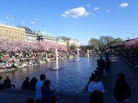 Nicola vive a Stoccolma dal settembre del 2010