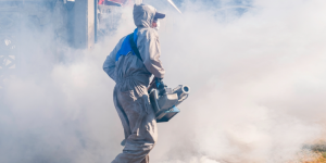 Chikungunya in Mauritius: How to stay safe from the virus