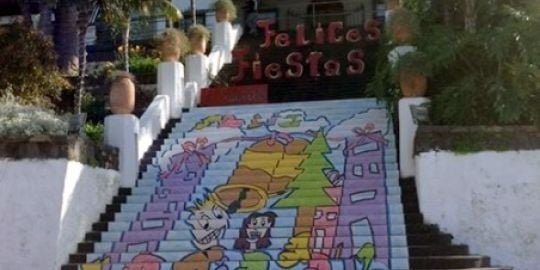 Manuela si è trasferita a Tenerife...assieme ai suoi quattro gatti!