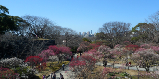 Bénédicte à Fukuoka : « C'est une ville à taille humaine proche de la mer et de la montagne »