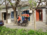 Felicitas in Beijing: "It's easy to navigate through the city"