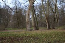 "Stabilità e possibilità di pianificare un futuro"...la storia di Angelo a Francoforte