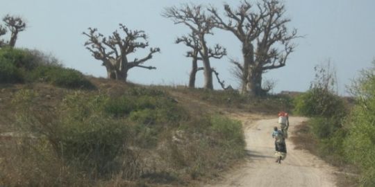 Lavorare in Africa significa anche essere polivalenti...la storia di Claudia in Guinea