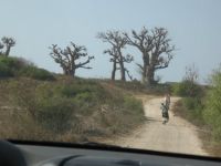 Lavorare in Africa significa anche essere polivalenti...la storia di Claudia in Guinea