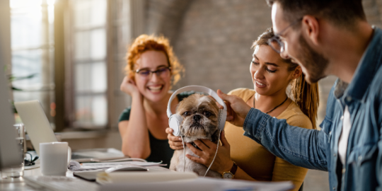 Sauna, siesta, animali: la versione insolita del lavoro