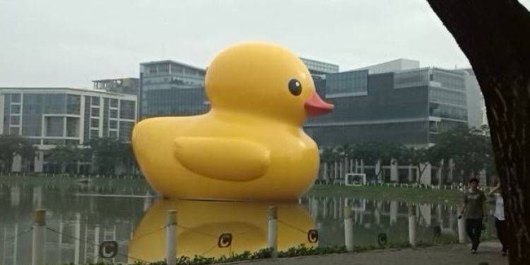 Francesco a Ho Chi Minh