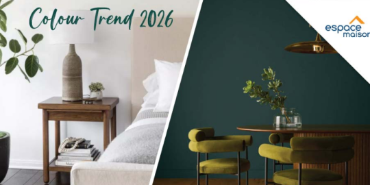 Color Trend 2026 : Les couleurs qui transformeront votre int&eacute;rieur&nbsp;