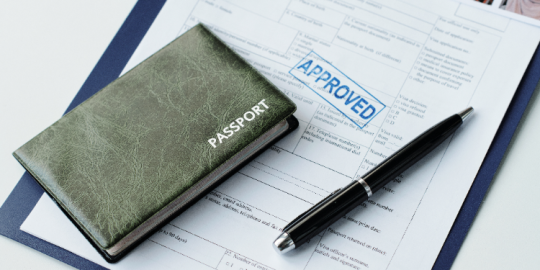 Which countries issue work visas at the state level?