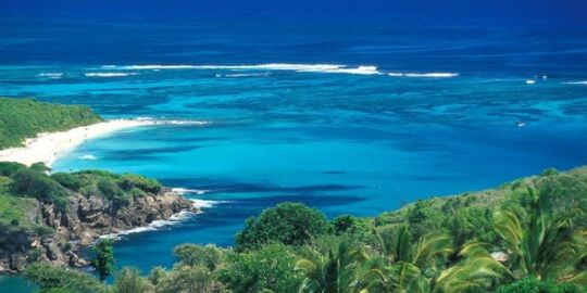 Alberto e la sua famiglia in Martinica