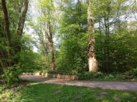 Teresa en Bremen: "Me encanta la ciudad, me recuerda a Sevilla"