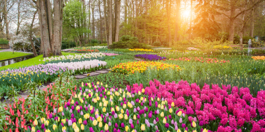 Spring traditions around the world