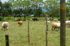 Luigi: " In Costa Rica sono rinato e sto godendo di una seconda opportunità "