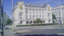 Bruno a Vienna: " Qui tutti rispettano le regole "