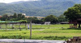 Steve: "Chiang Mai is an oasis of tranquility"