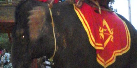 Lorenzo in Cambogia: 