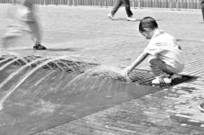 Francesca in Belgio: " E' come sradicare le radici e ripiantarle in un nuovo luogo..."