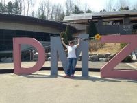 Fernando: "Seúl es una ciudad que nunca duerme"