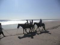 Guiomar en Xalapa: "Tenemos que aprender a venir con más humildad"