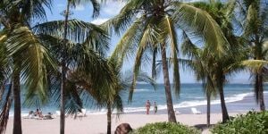 Paloma en Costa Rica: "Lo mejor sin duda es la gente y la exuberante naturaleza"