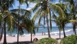 Paloma en Costa Rica: "Lo mejor sin duda es la gente y la exuberante naturaleza"