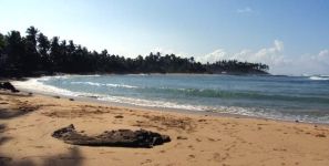 Laura en Sri Lanka: "Me encanta el contraste que tiene entre jungla, playa y montañas"