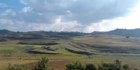 Alessio ad Addis Abeba: 