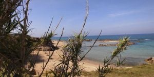 David in Israel: "Haifa has a great diversity and climate"