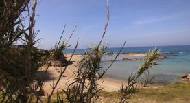 David in Israel: "Haifa has a great diversity and climate"