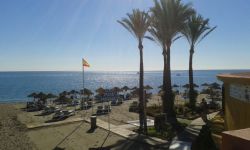 Alberto, un consulente d'impresa in Andalusia