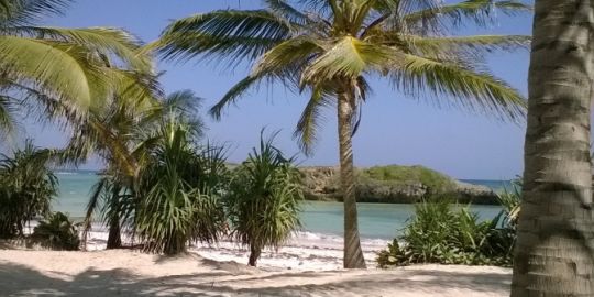 Rossana a Malindi : Qui sono felice e mi sento me stessa!