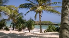 Rossana a Malindi : Qui sono felice e mi sento me stessa!"