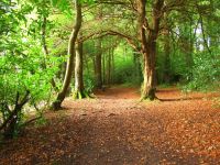 Val in Sligo: "It really is the most stunning place to live"