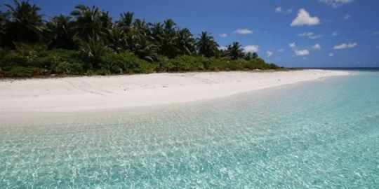 Gulzat in Maldives: 