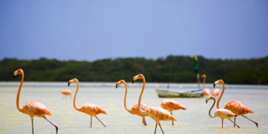 Sandra en México: ''Te enseña mucho el vivir lejos de tu entorno habitual,te ayuda a conocerte más''