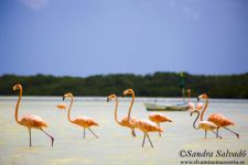 Sandra en México: ''Te enseña mucho el vivir lejos de tu entorno habitual,te ayuda a conocerte más''