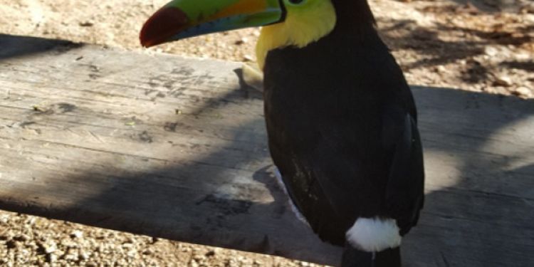 Gennaro in Nicaragua