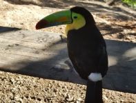 Gennaro in Nicaragua: " Trasferirmi qui è stata la scelta più bella della mia vita"