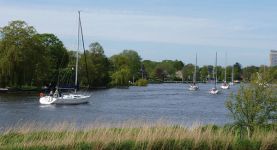 Sandra in Haarlem: "Dutch lifestyle is absolutely fantastic"