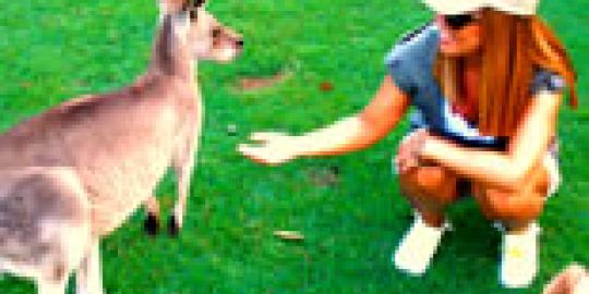 Australia no es país para viejos 