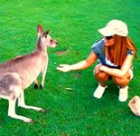 Australia no es país para viejos